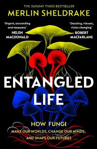 Thumbnail picture of the Book Entangled Life by Merlin Sheldrake